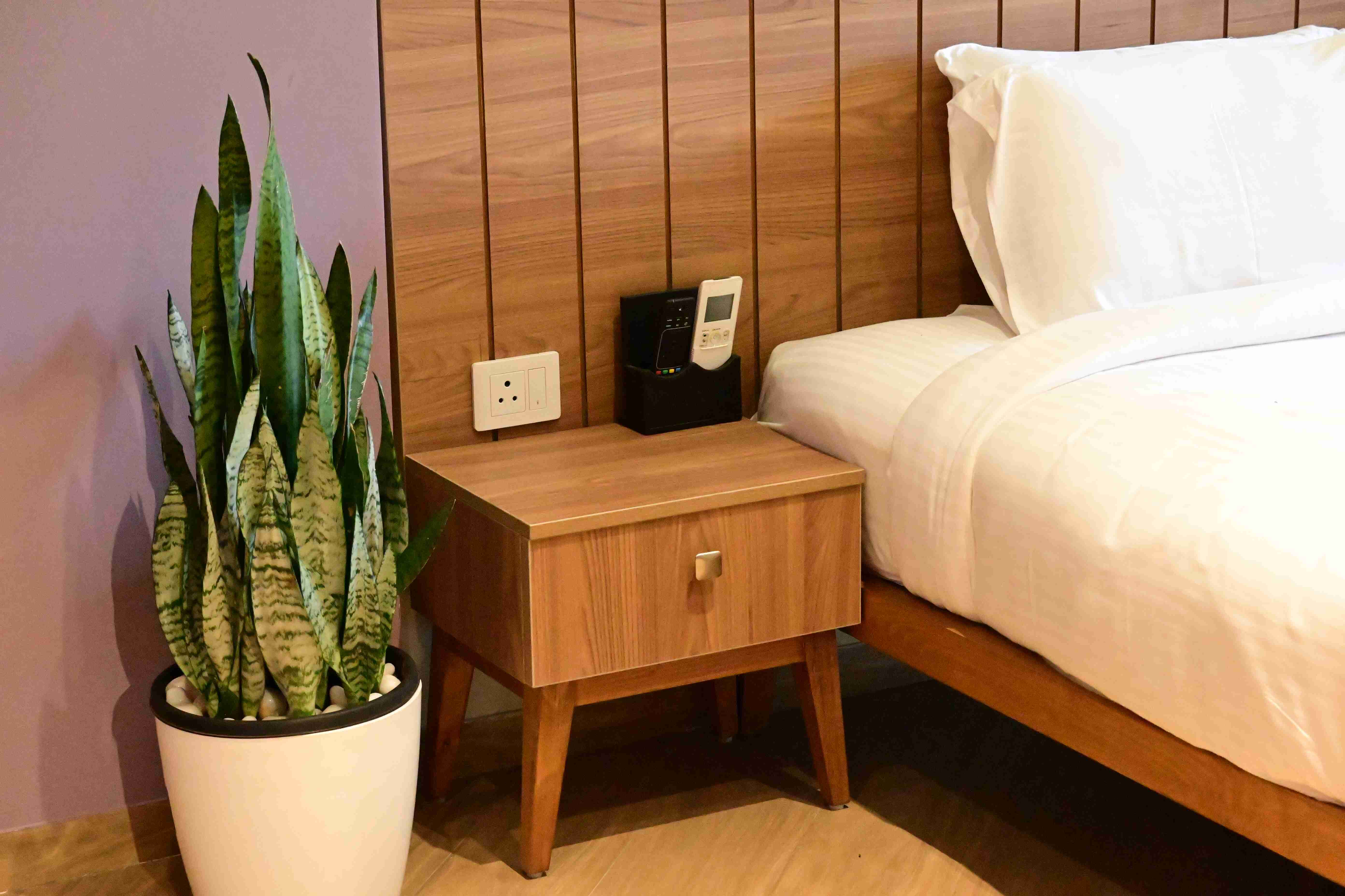 Snake plant (Dracena trifasciata)